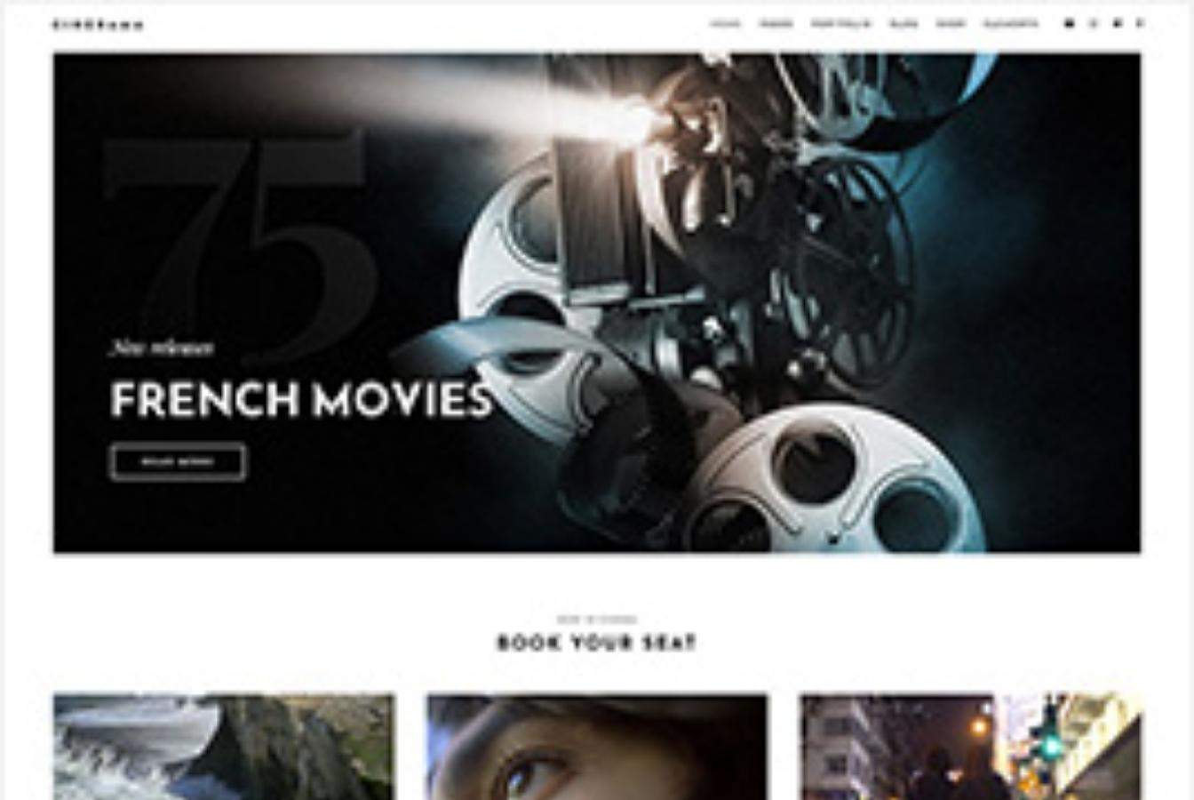 agence web cinéma et télévision, créer site web cinéma et télévision (7)