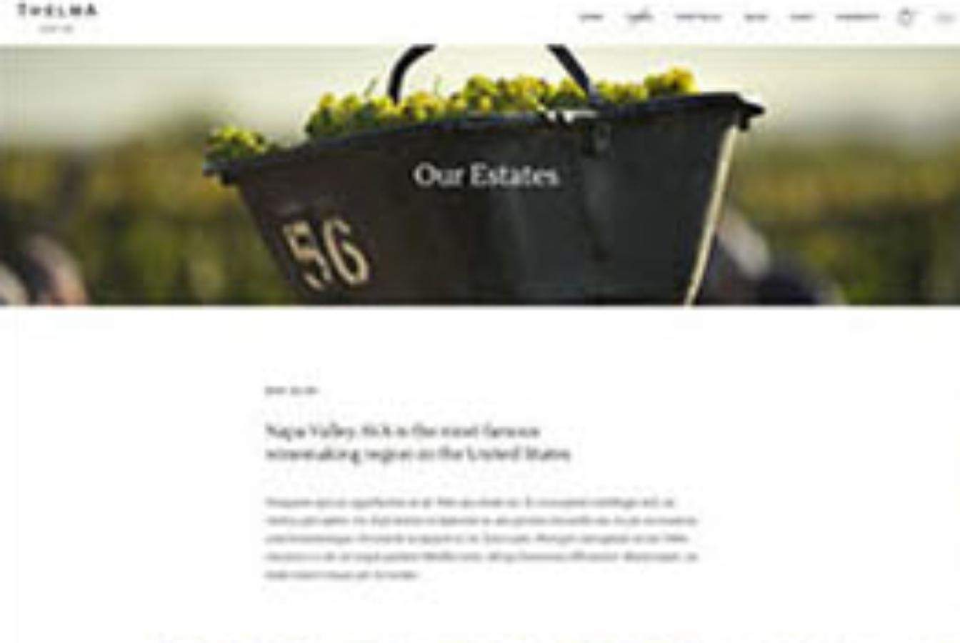 agence web viticulteur, créer site web viticulteur (6)