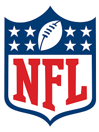 Agence Web Referencement NFL