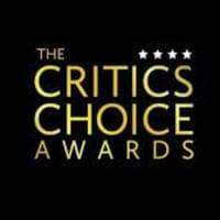 Critics Awards
